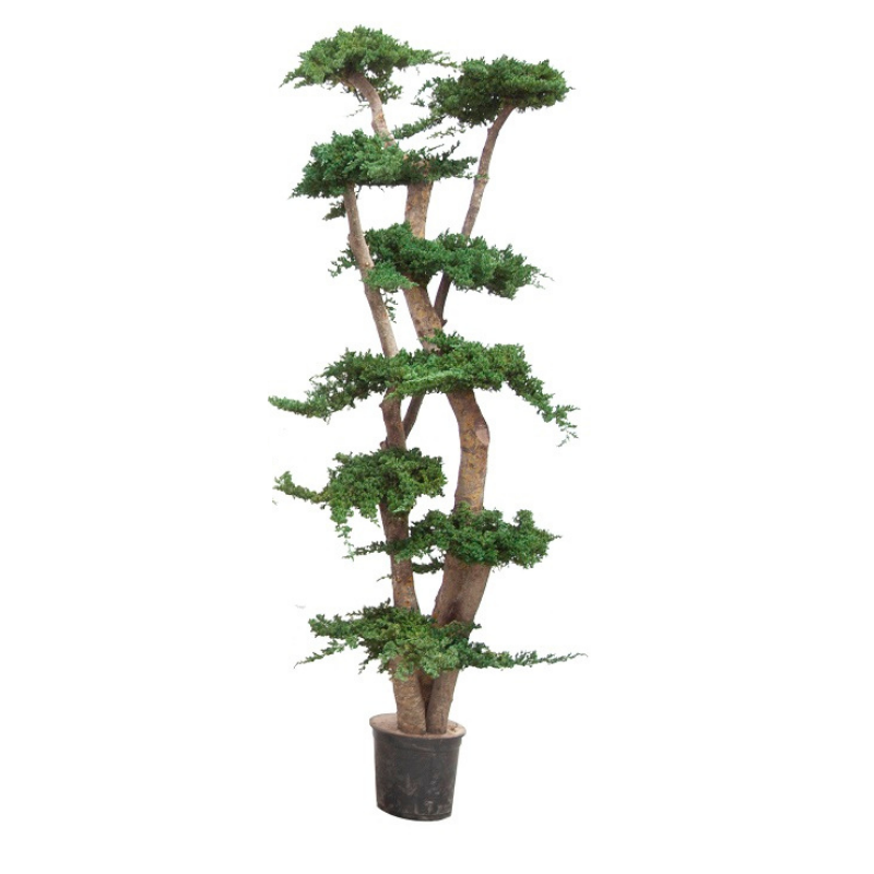 Jumbo stabilisé 190cm, Naturalys