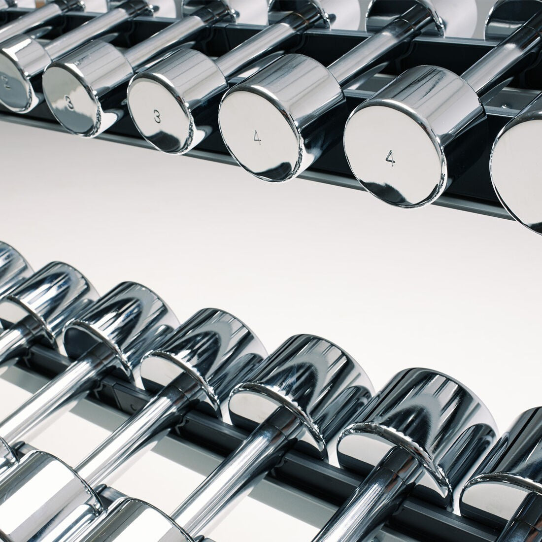 Haltère Dumbbell chrome 6kgs, Technogym, visuel 2