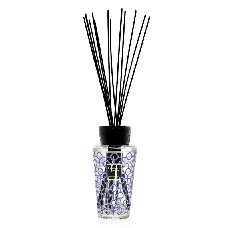 Diffuseur 500ml Gentlemen, Baobab Collection