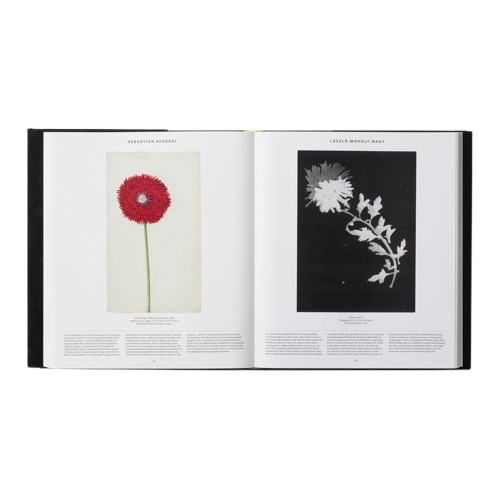 Livre VEGETAL, Phaidon, visuel 7