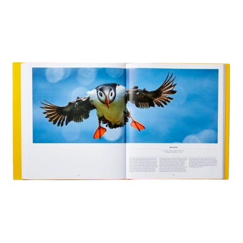 Livre OISEAUX, Phaidon, visuel 3