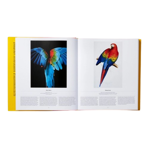 Livre OISEAUX, Phaidon, visuel 4