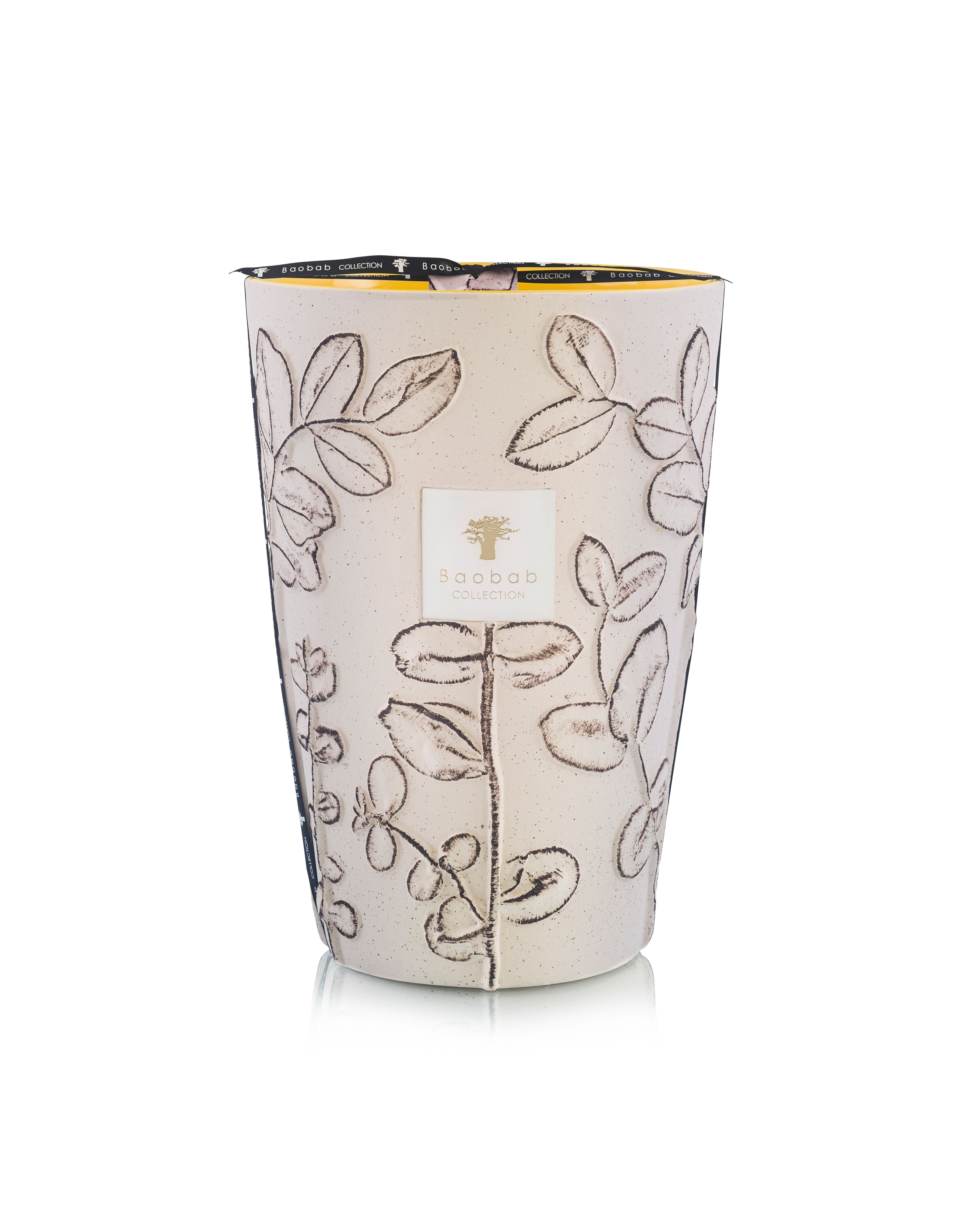 Bougie Folia Calanque, Baobab Collection, visuel 5