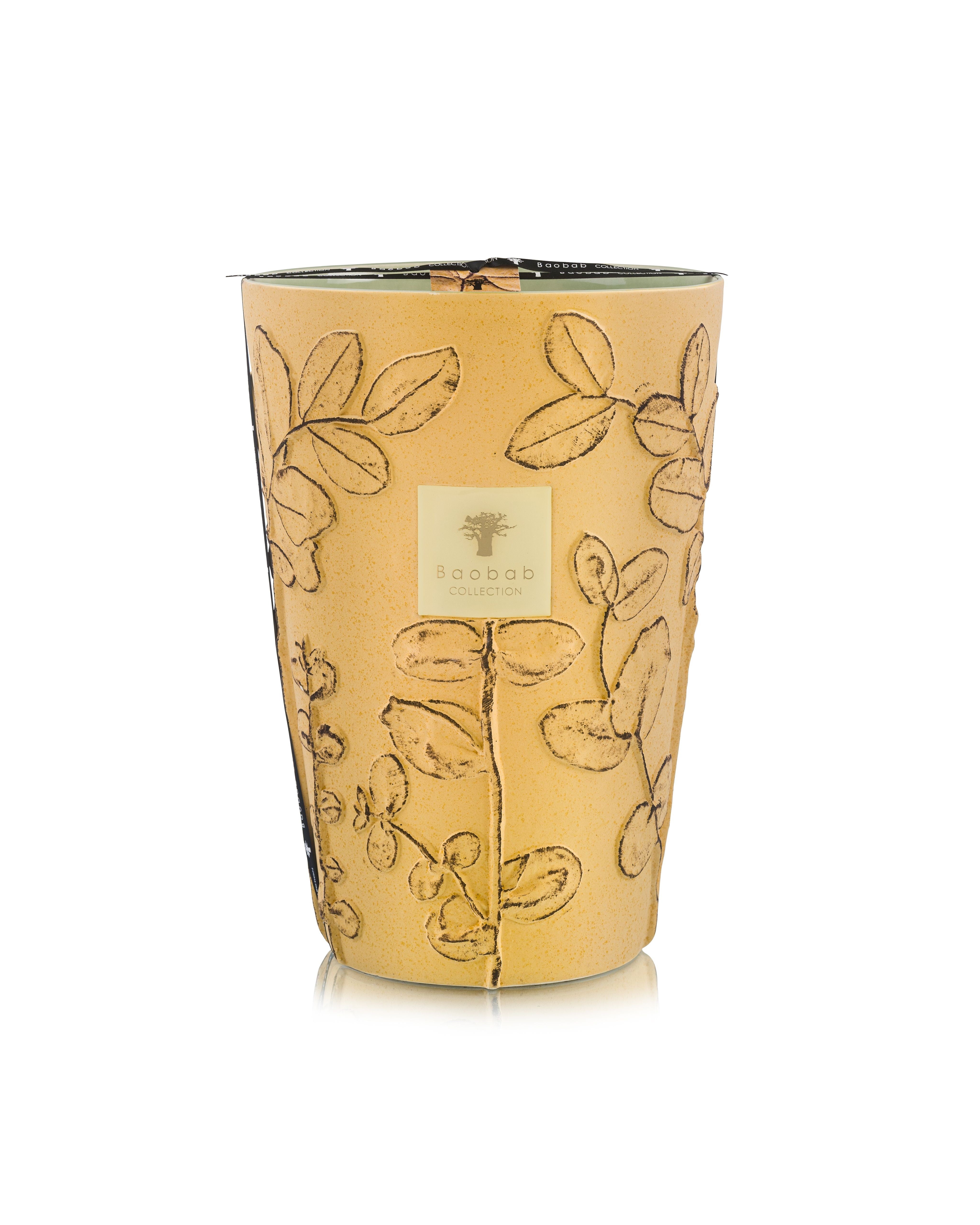 Bougie Folia Garrigue, Baobab Collection, visuel 5