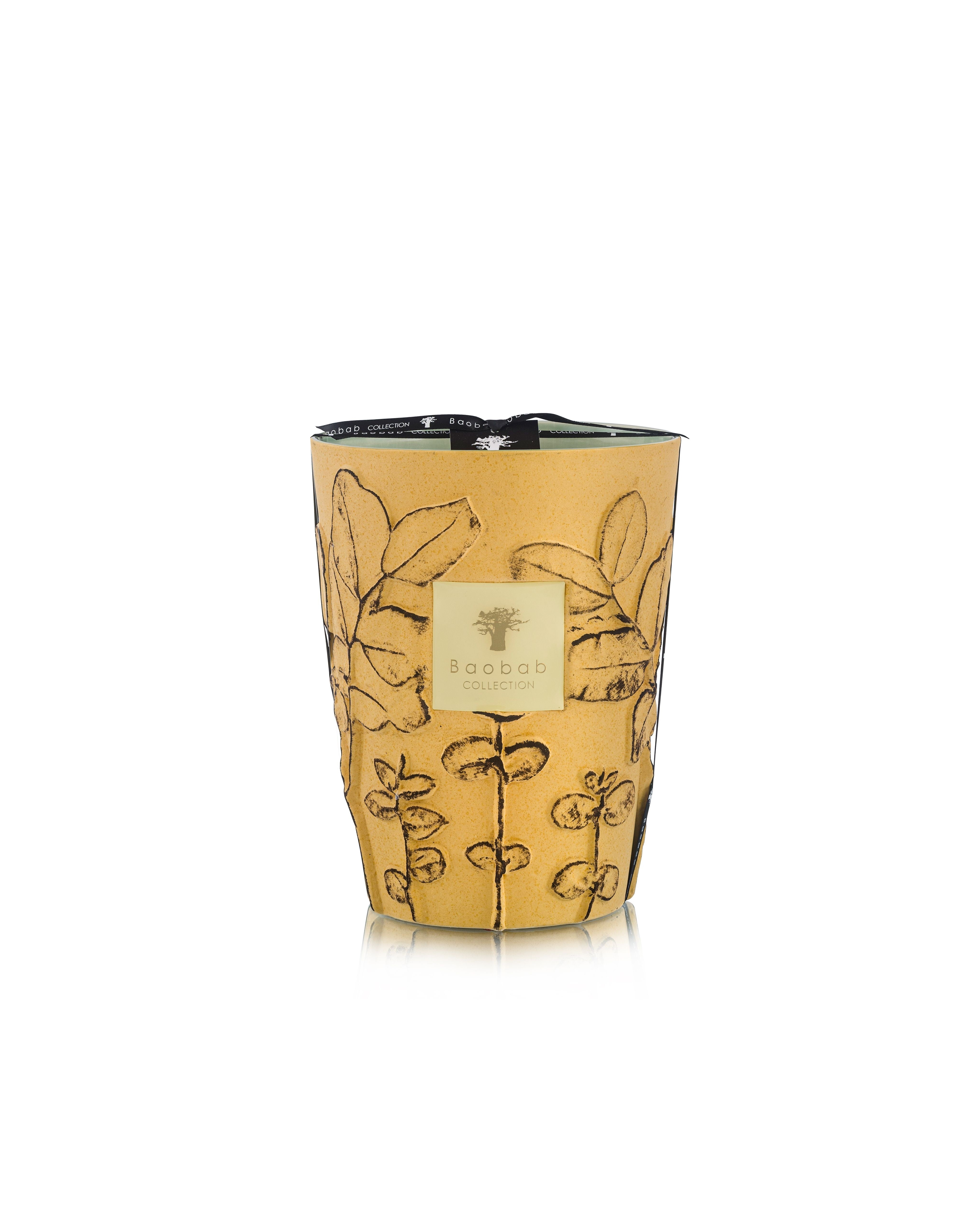 Bougie Folia Garrigue, Baobab Collection, visuel 4