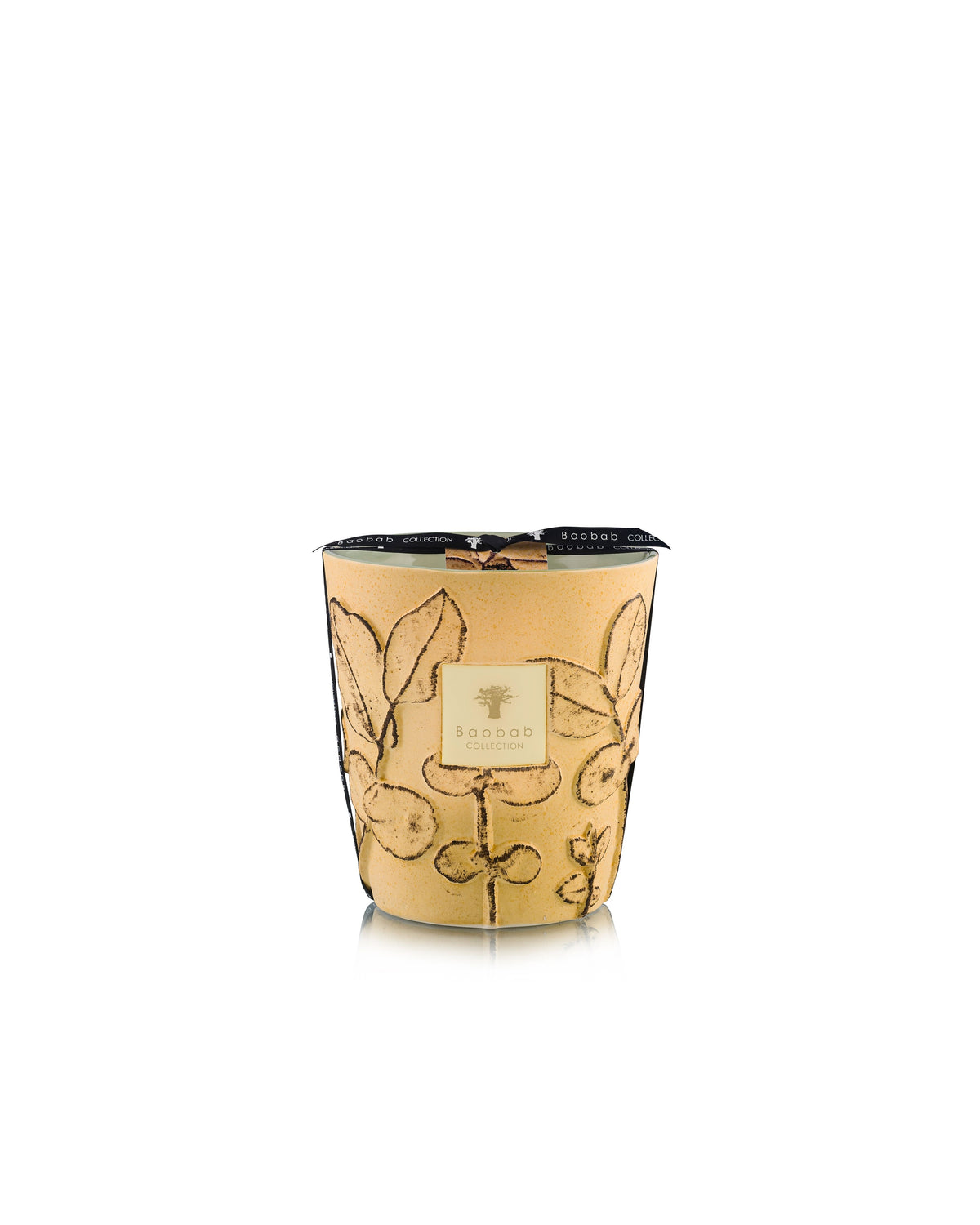 Bougie Folia Garrigue, Baobab Collection, visuel 3