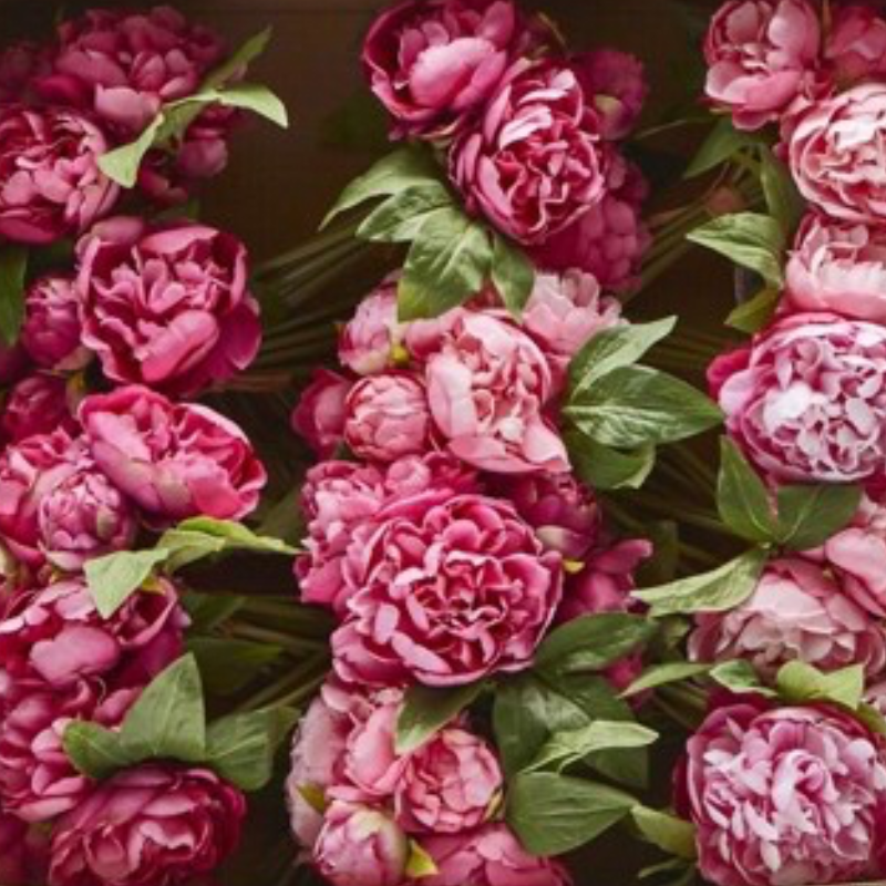 Bouquet de 9 pivoines avec feuilles, EDG, visuel 3
