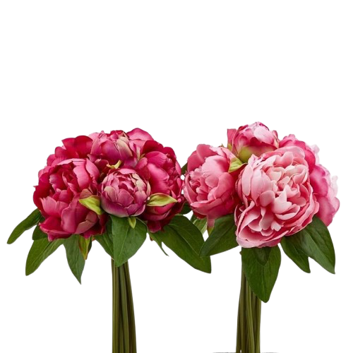 Bouquet de 9 pivoines avec feuilles, EDG