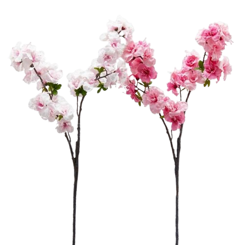 Branche de cerisier Sakura H105cm, EDG