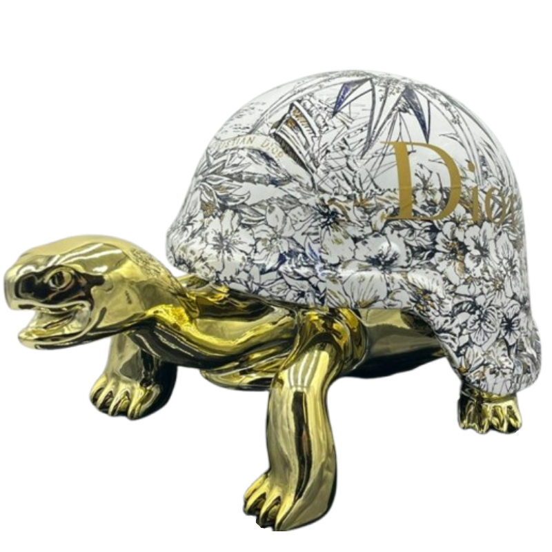 Tortue Rose des Vents, NR
