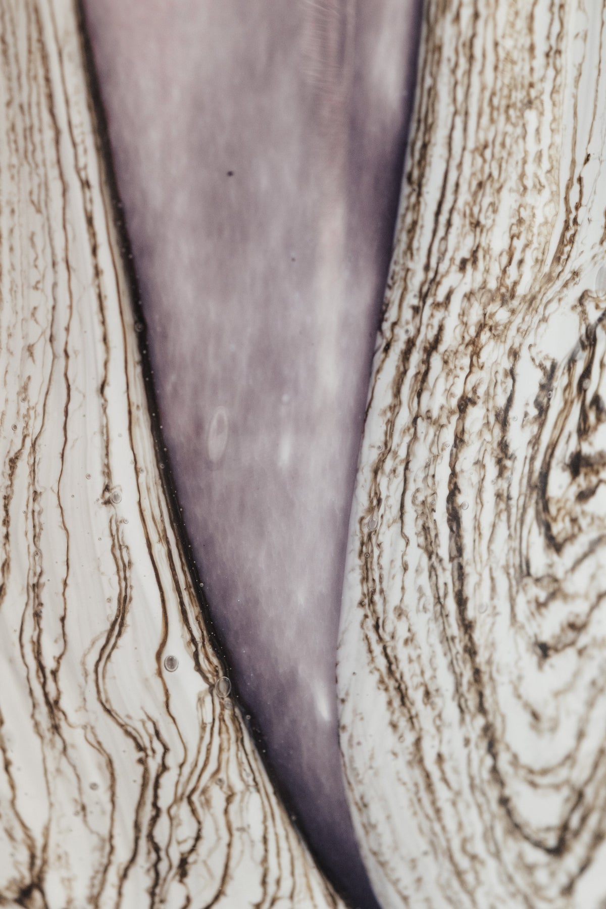 TOTEM Wood Broceliande, Baobab Collection, visuel 5
