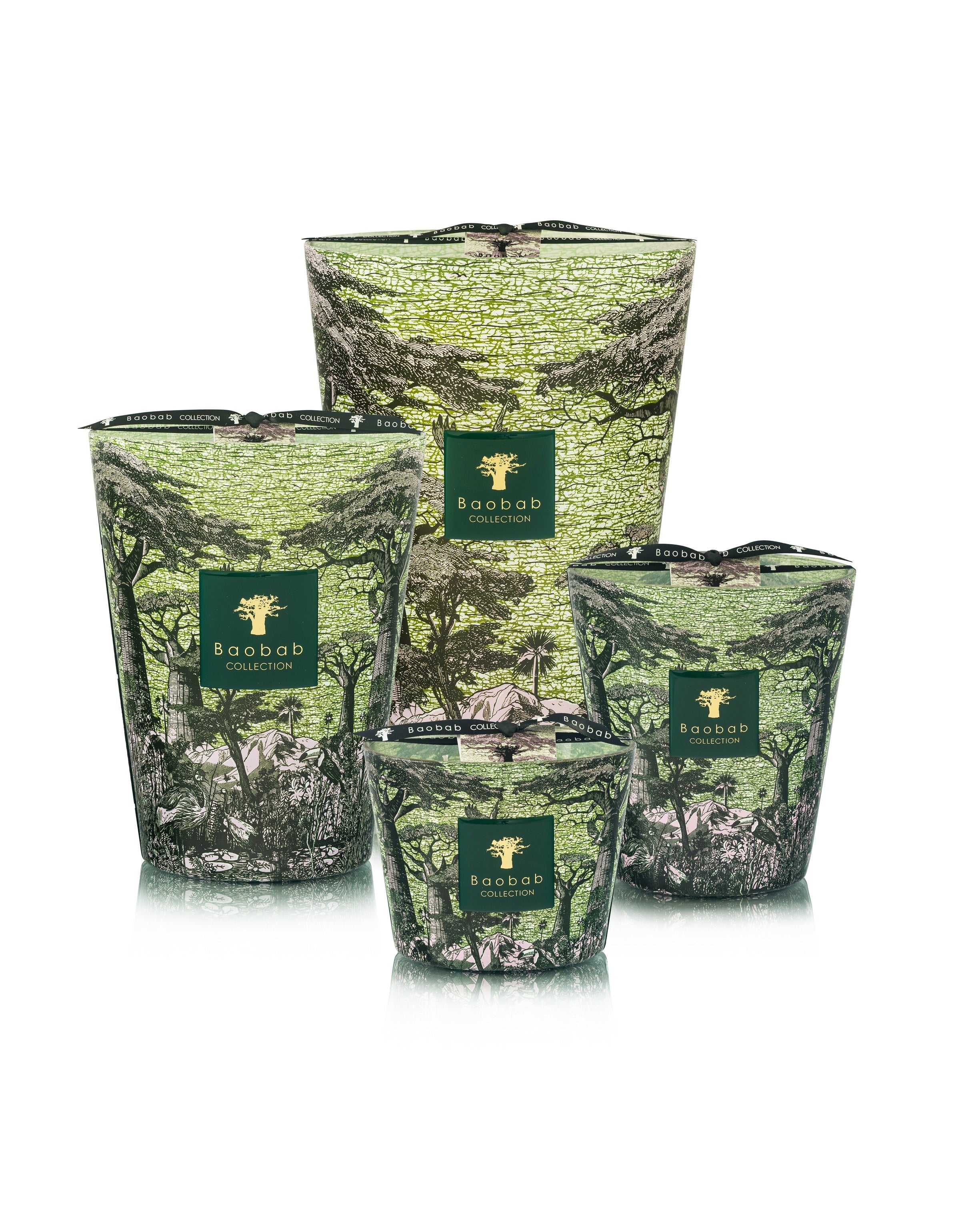Bougie New Sacred trees Touba, Baobab Collection
