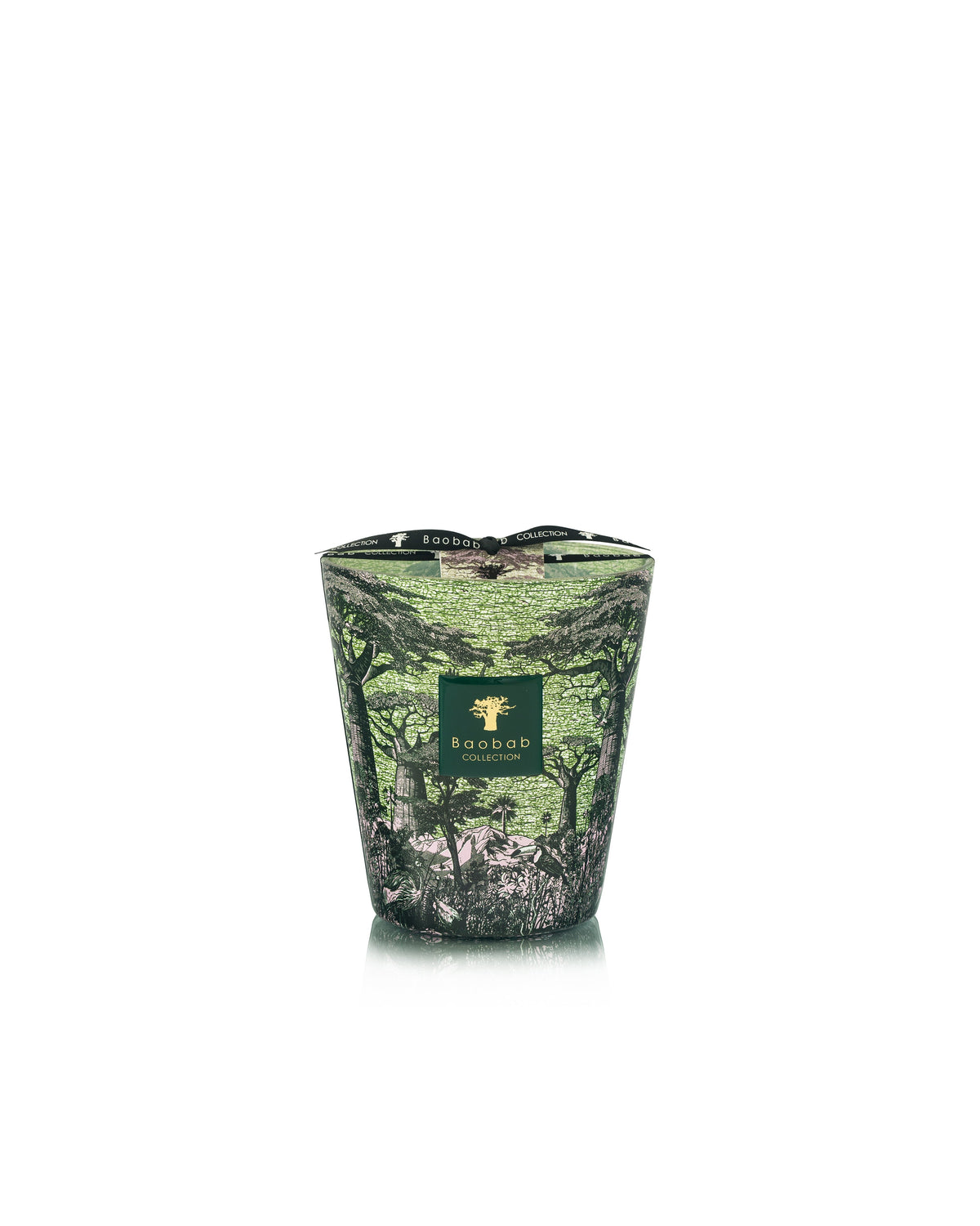 Bougie New Sacred trees Touba, Baobab Collection, visuel 3