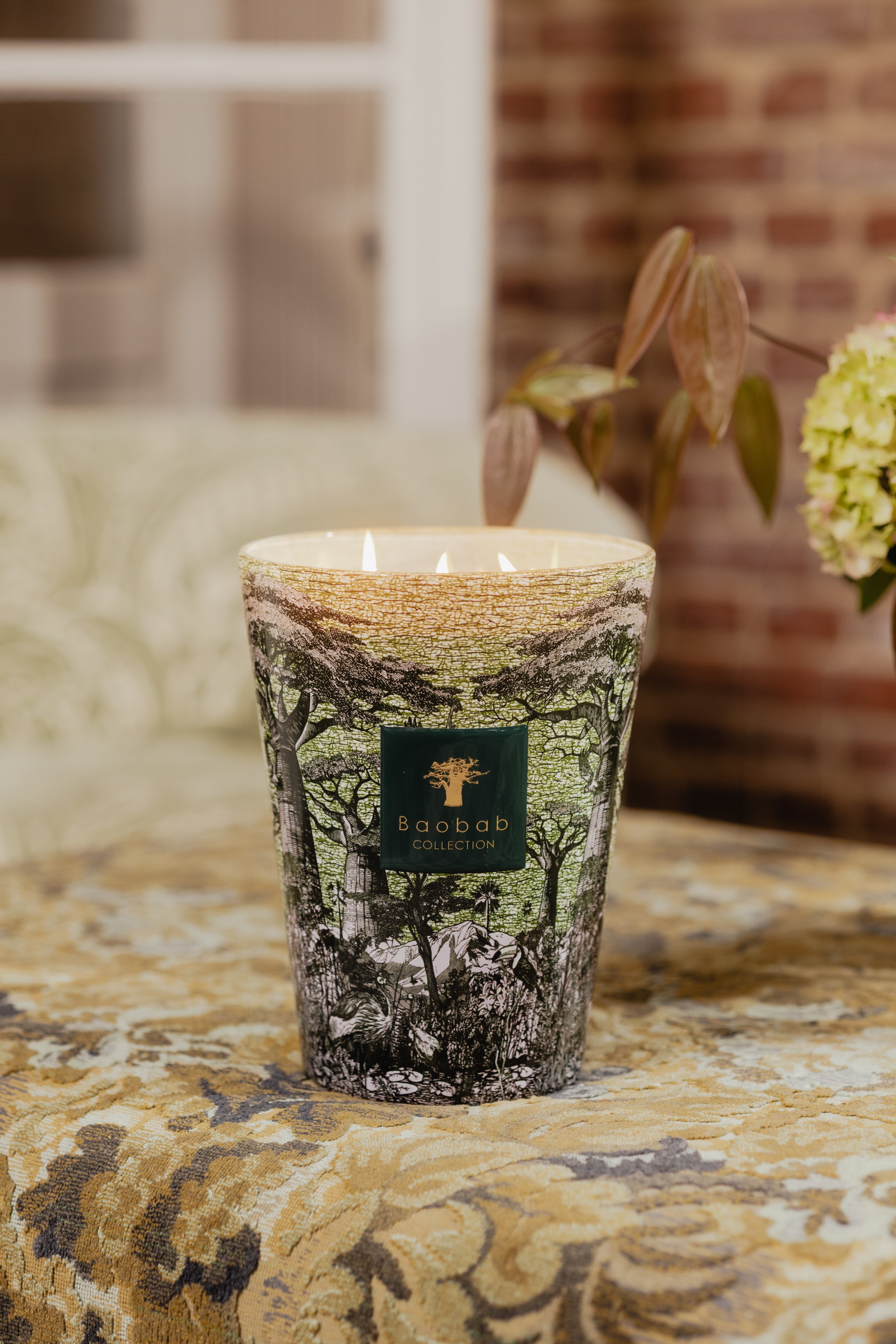 Bougie New Sacred trees Touba, Baobab Collection, visuel 7