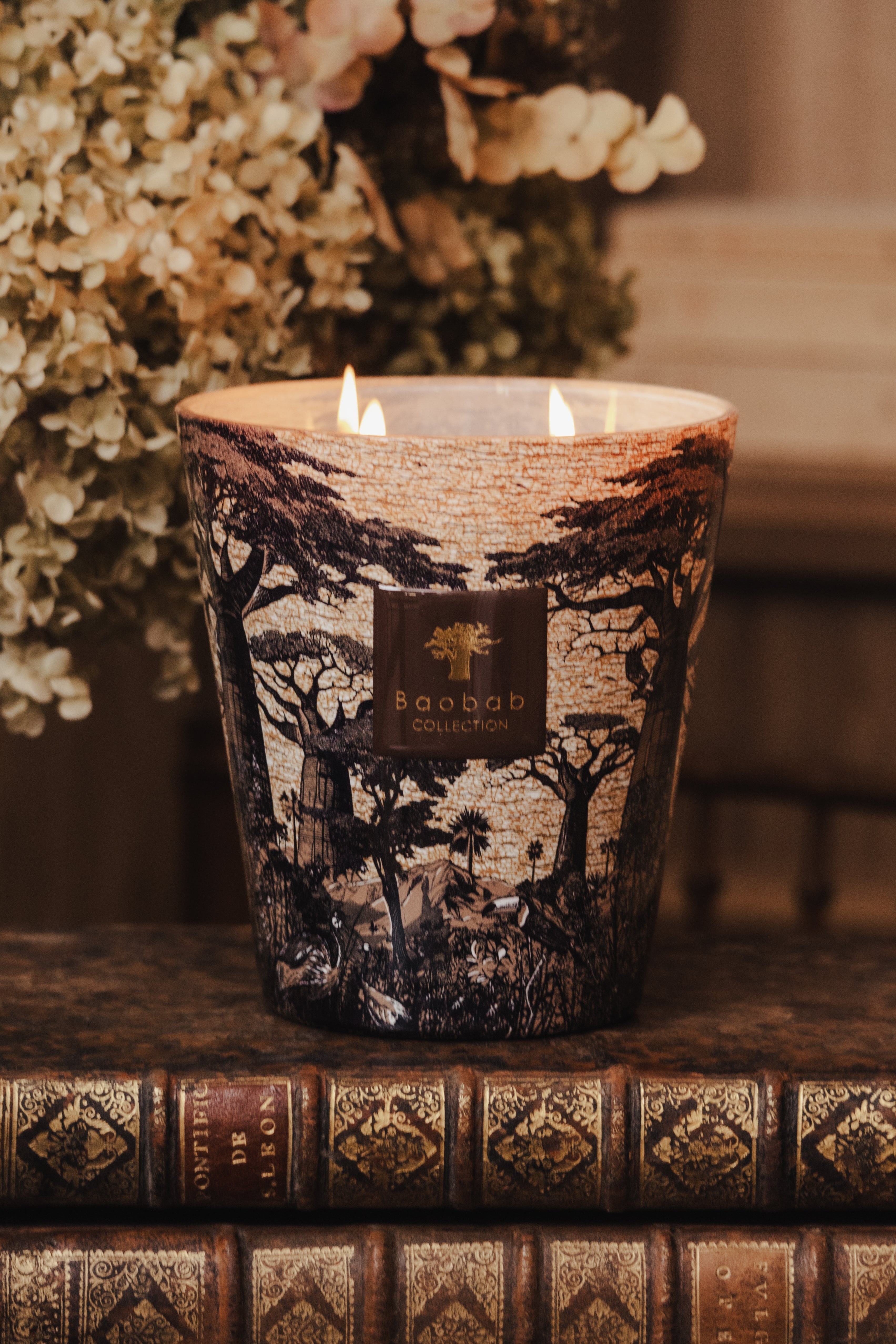 Bougie New Sacred trees Mankono, Baobab Collection, visuel 6