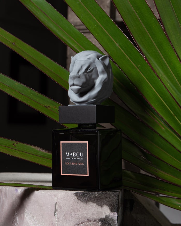 Coffret diffuseur 250ml Nocturnal King, Mabou, visuel 7