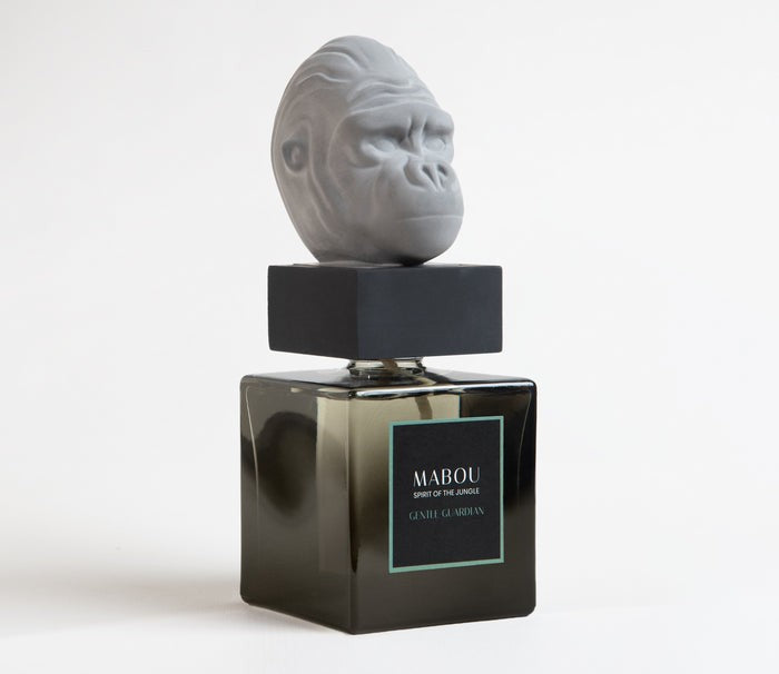 Coffret diffuseur 250ml Gentle Guardian, Mabou, visuel 2