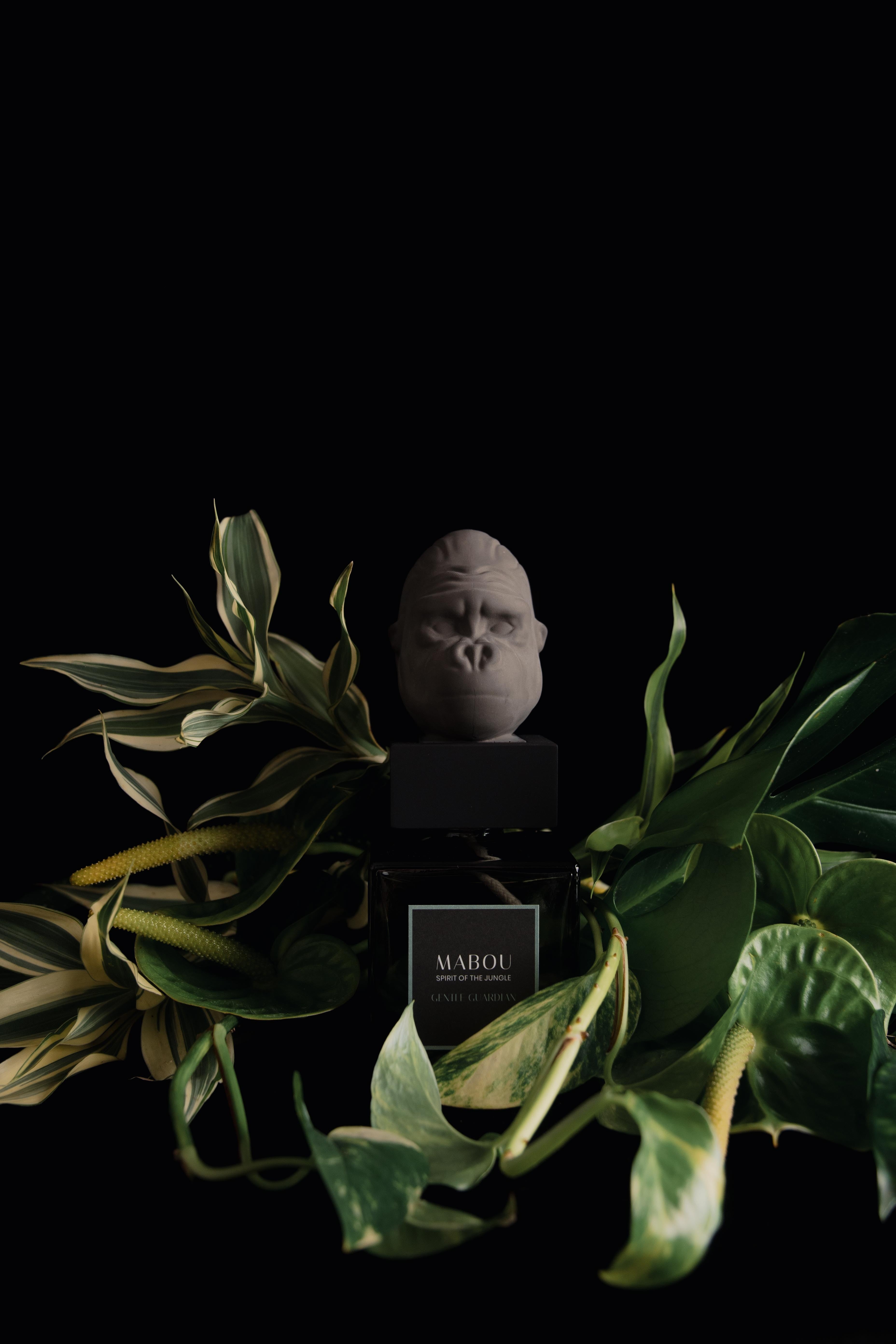 Coffret diffuseur 250ml Gentle Guardian, Mabou, visuel 9