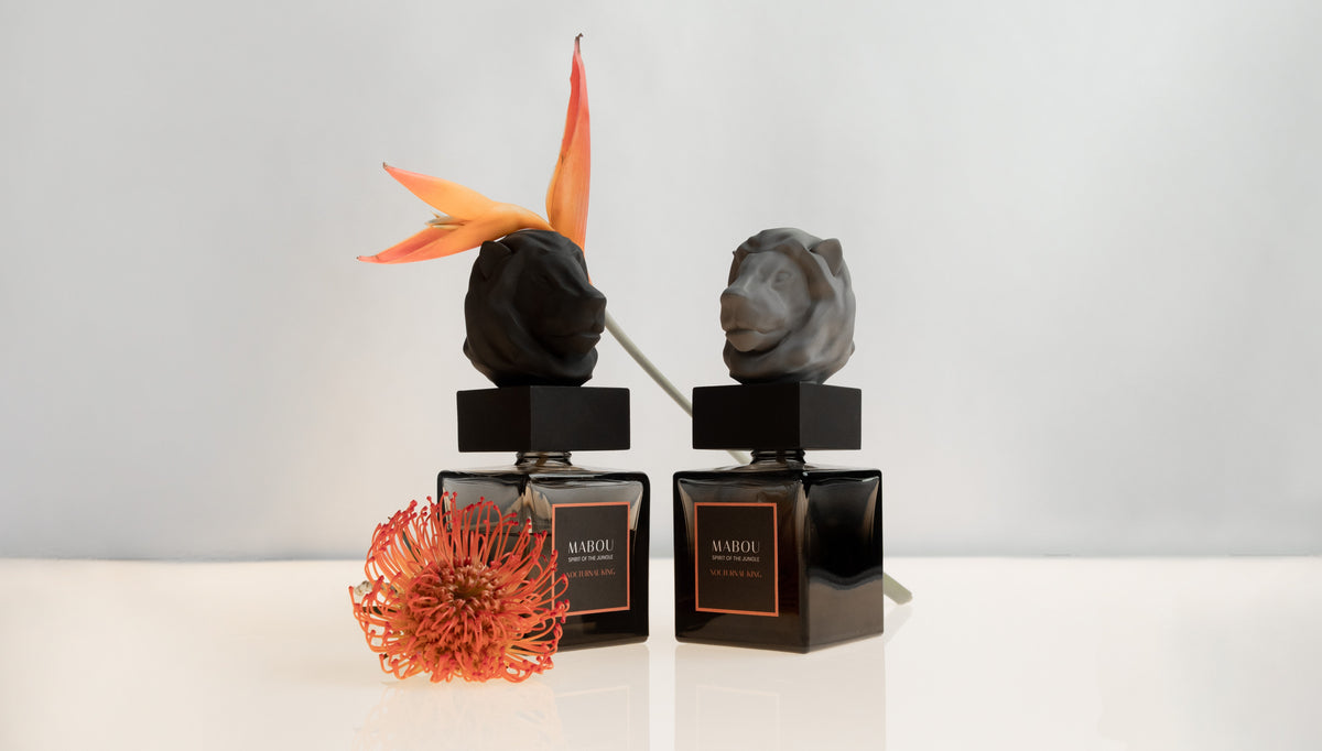 Coffret diffuseur 250ml Nocturnal King, Mabou, visuel 9