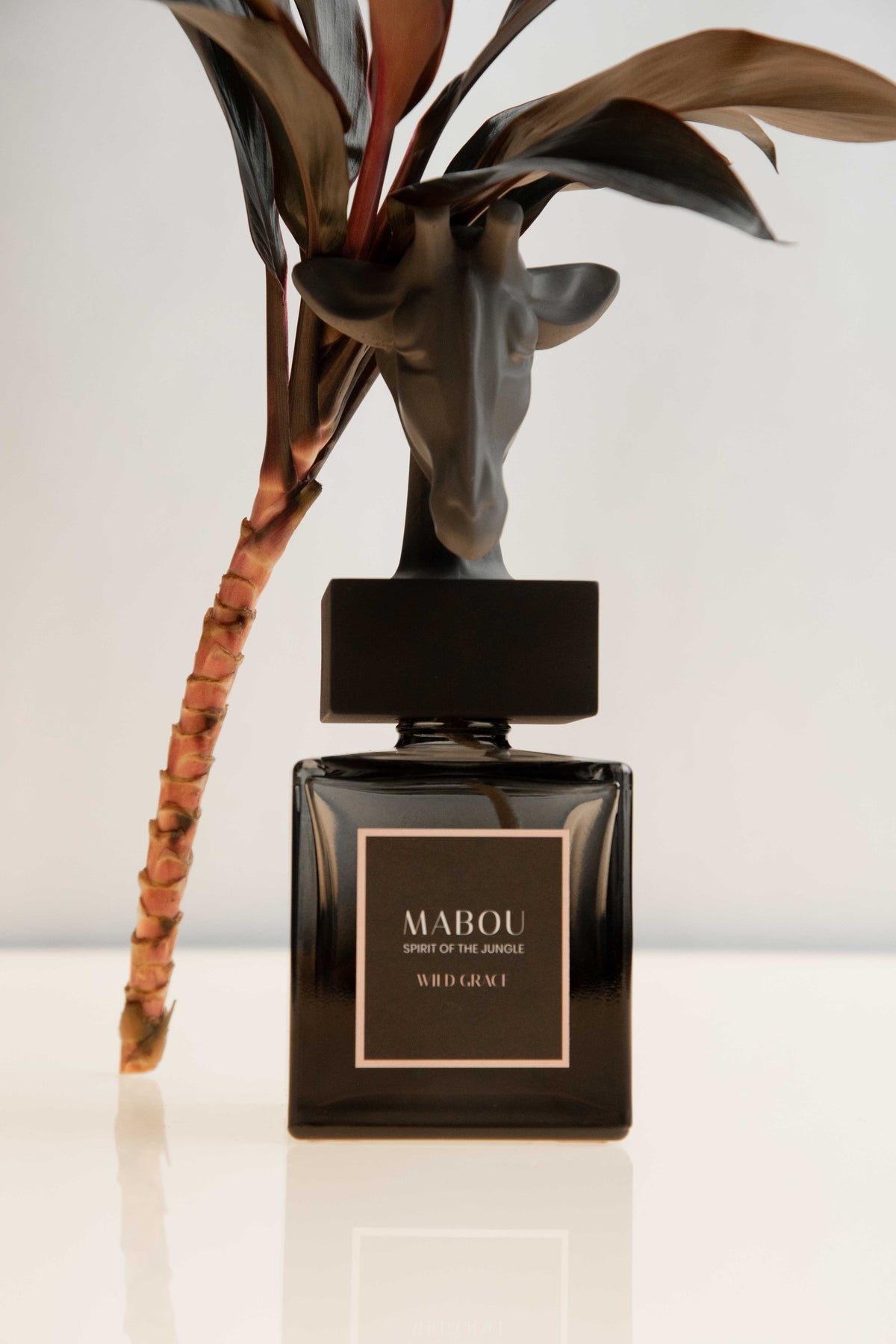 Coffret diffuseur 250ml Wild Grace, Mabou, visuel 9