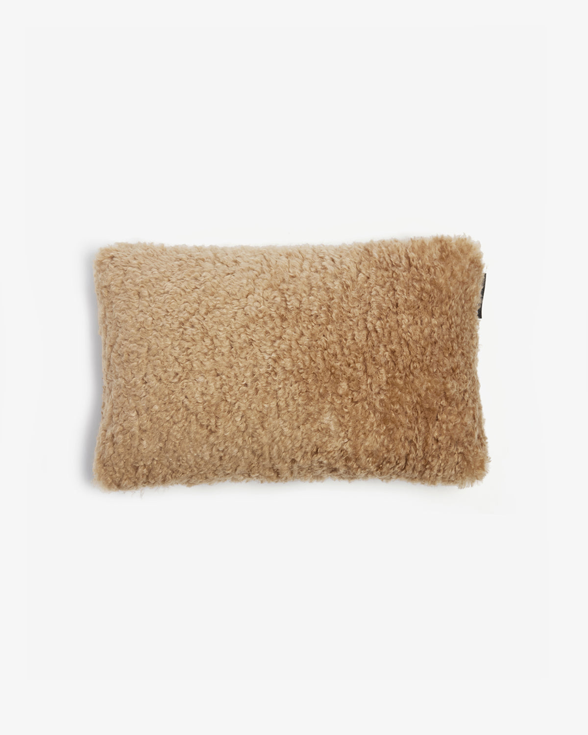 Coussin Apparis Cicly 30x50 cm, coloris Bouclette camel