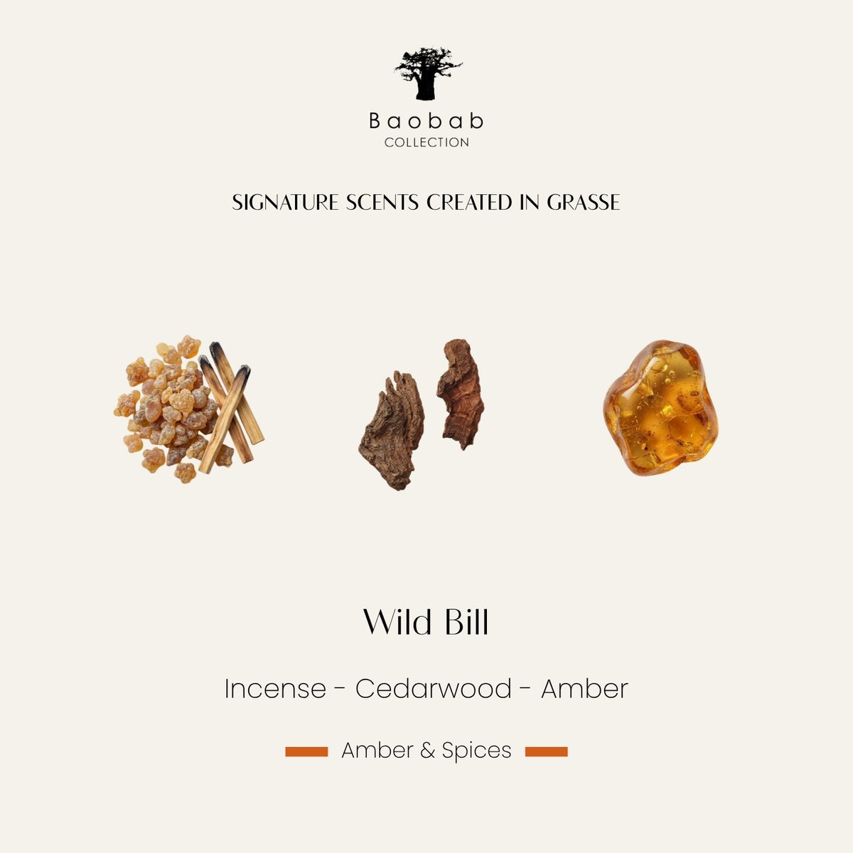 Notes olfactives de la bougie Baobab Wild Bill : encens, cèdre, ambre. Parfum créé à Grasse
