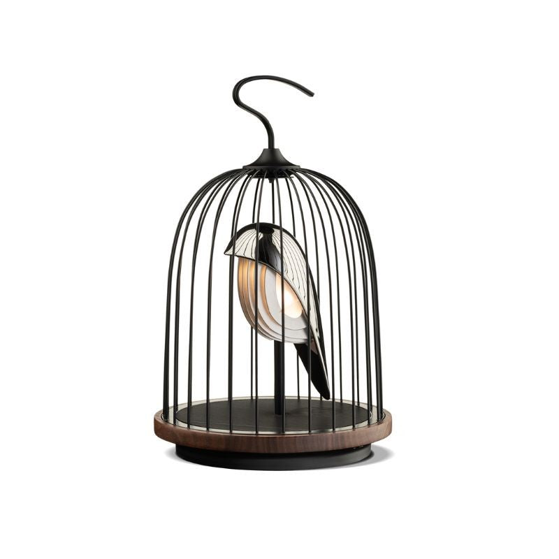 Enceinte Silver Swan, Daqi Concept