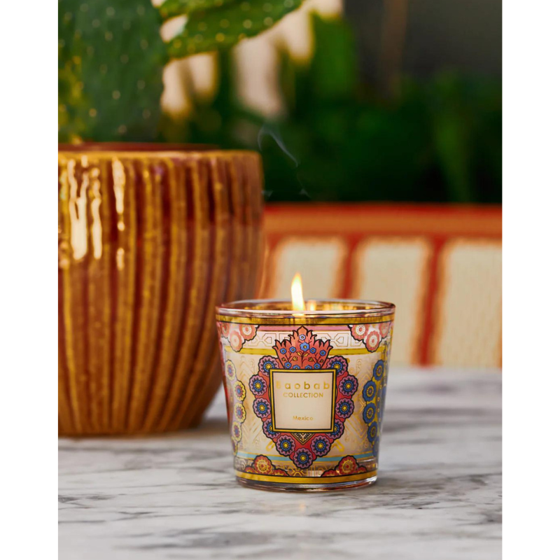 My First Baobab - Mexico, Baobab Collection, visuel 3