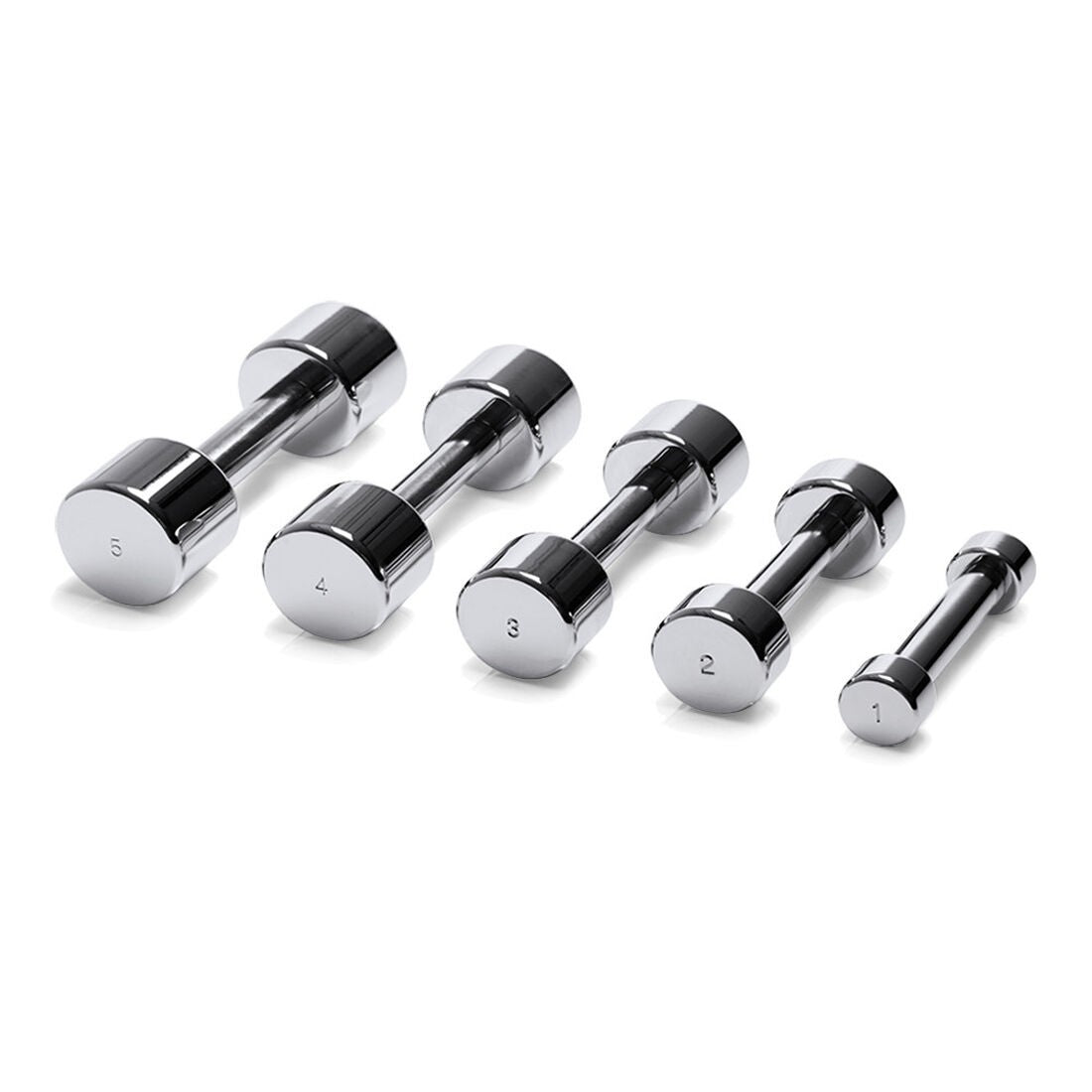 Haltère Dumbbell chrome 6kgs, Technogym