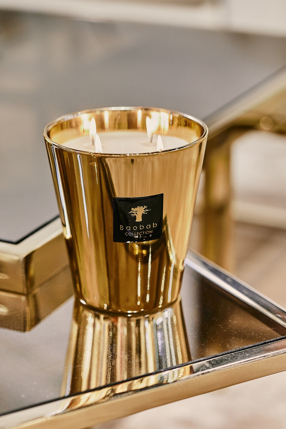 Bougie Aurum, Baobab Collection, visuel 7