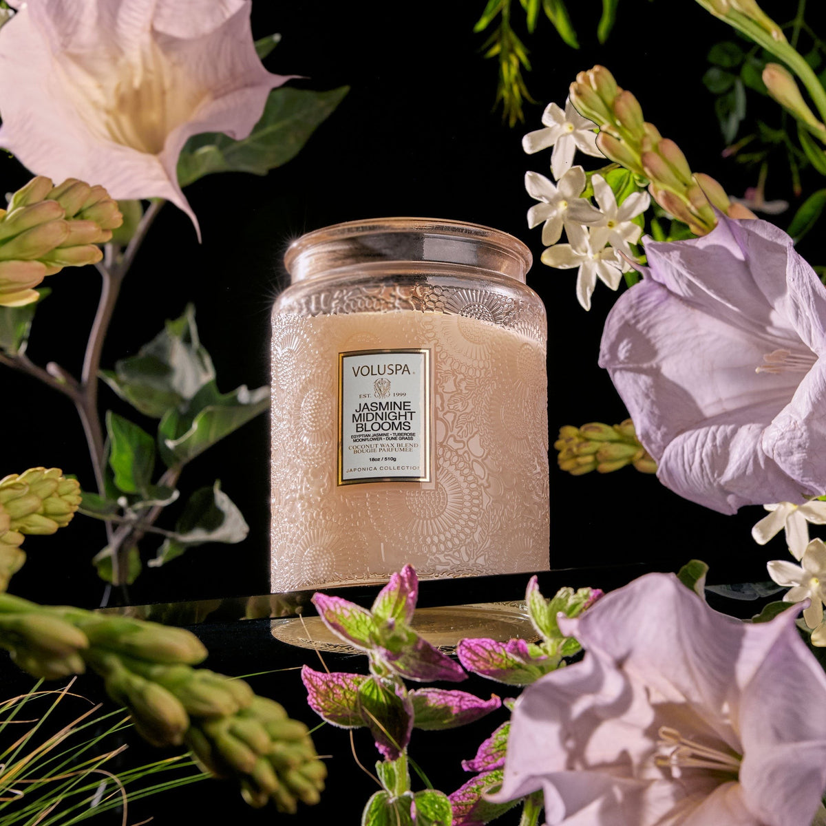 Bougie en verre Japonica 453g, Voluspa, visuel 23
