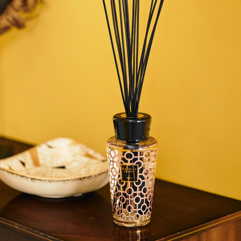 Diffuseur 500ml Women, Baobab Collection, visuel 3