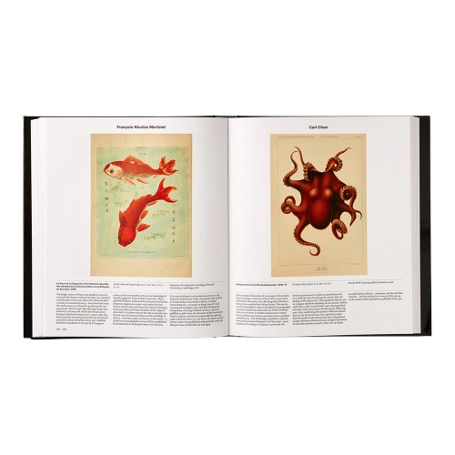 Livre ANIMAL, Phaidon, visuel 4
