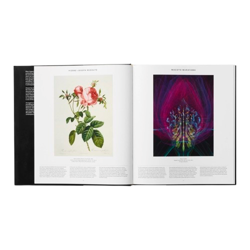 Livre VEGETAL, Phaidon, visuel 3