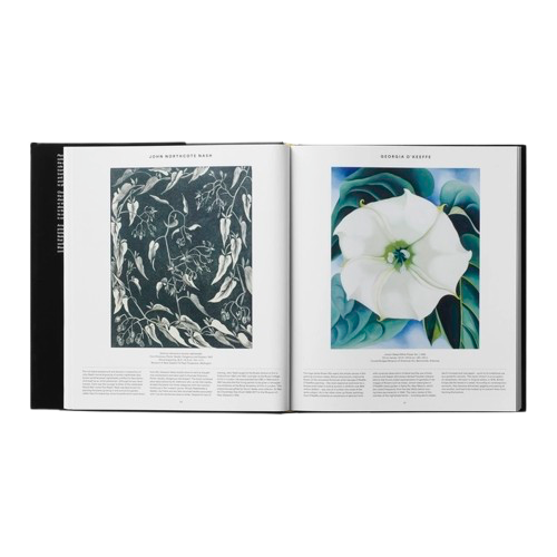 Livre VEGETAL, Phaidon, visuel 4