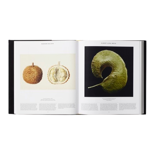 Livre VEGETAL, Phaidon, visuel 5