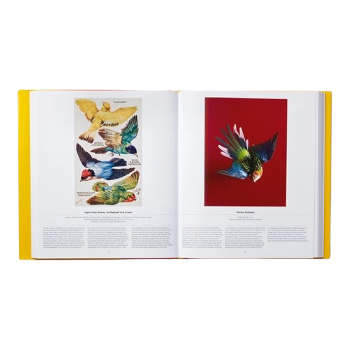Livre OISEAUX, Phaidon, visuel 6