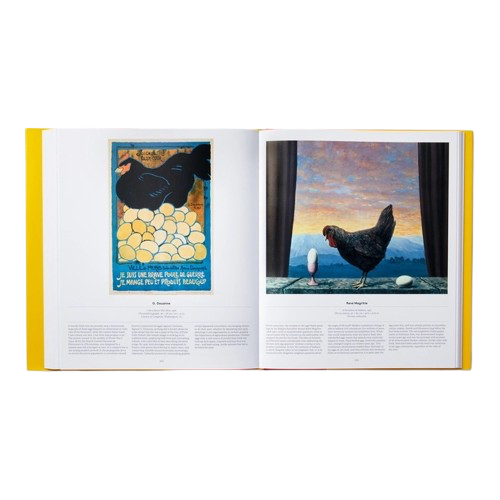 Livre OISEAUX, Phaidon, visuel 8