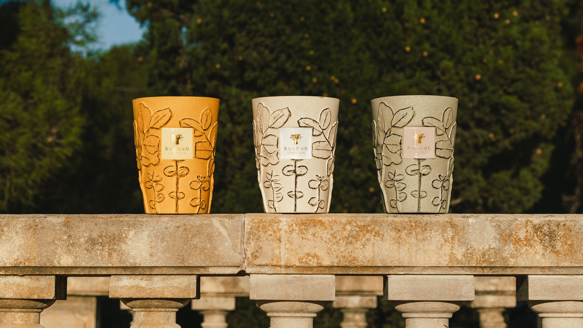 Bougie Folia Garrigue, Baobab Collection, visuel 9