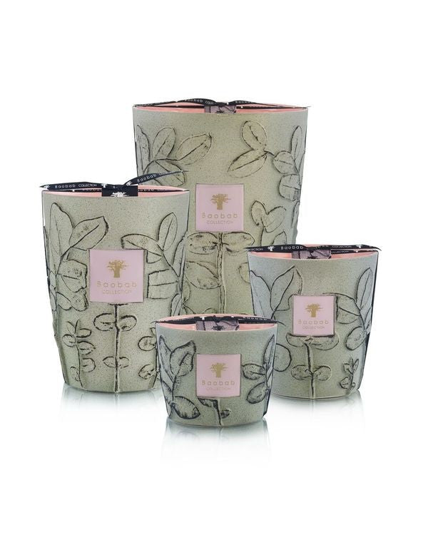 Bougie Folia Maquis, Baobab Collection