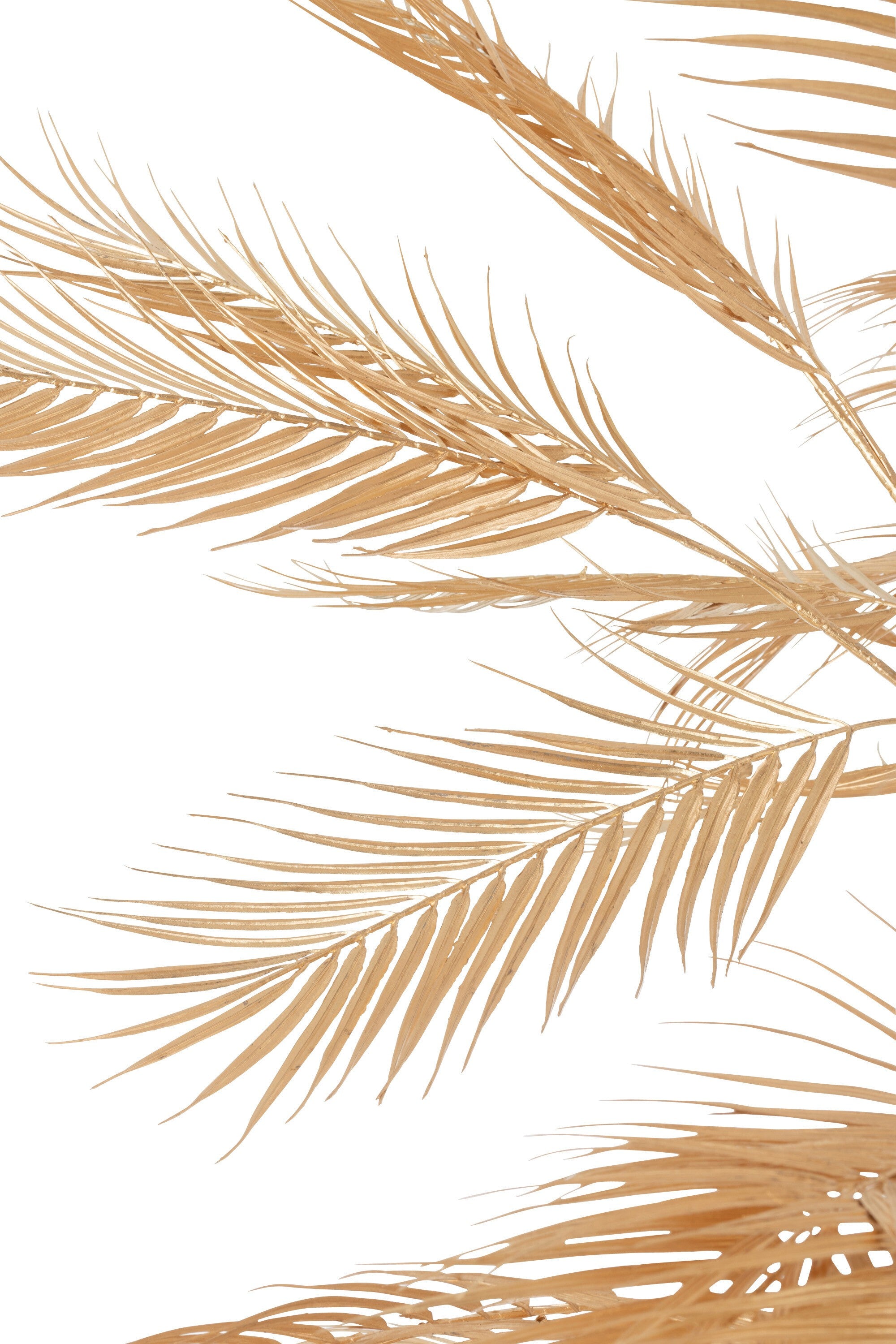 Palmier Gold L H250cm, Jolipa, visuel 2