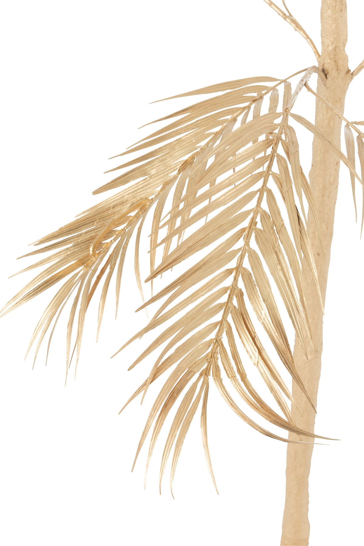 Palmier Gold S H140cm, Jolipa, visuel 2