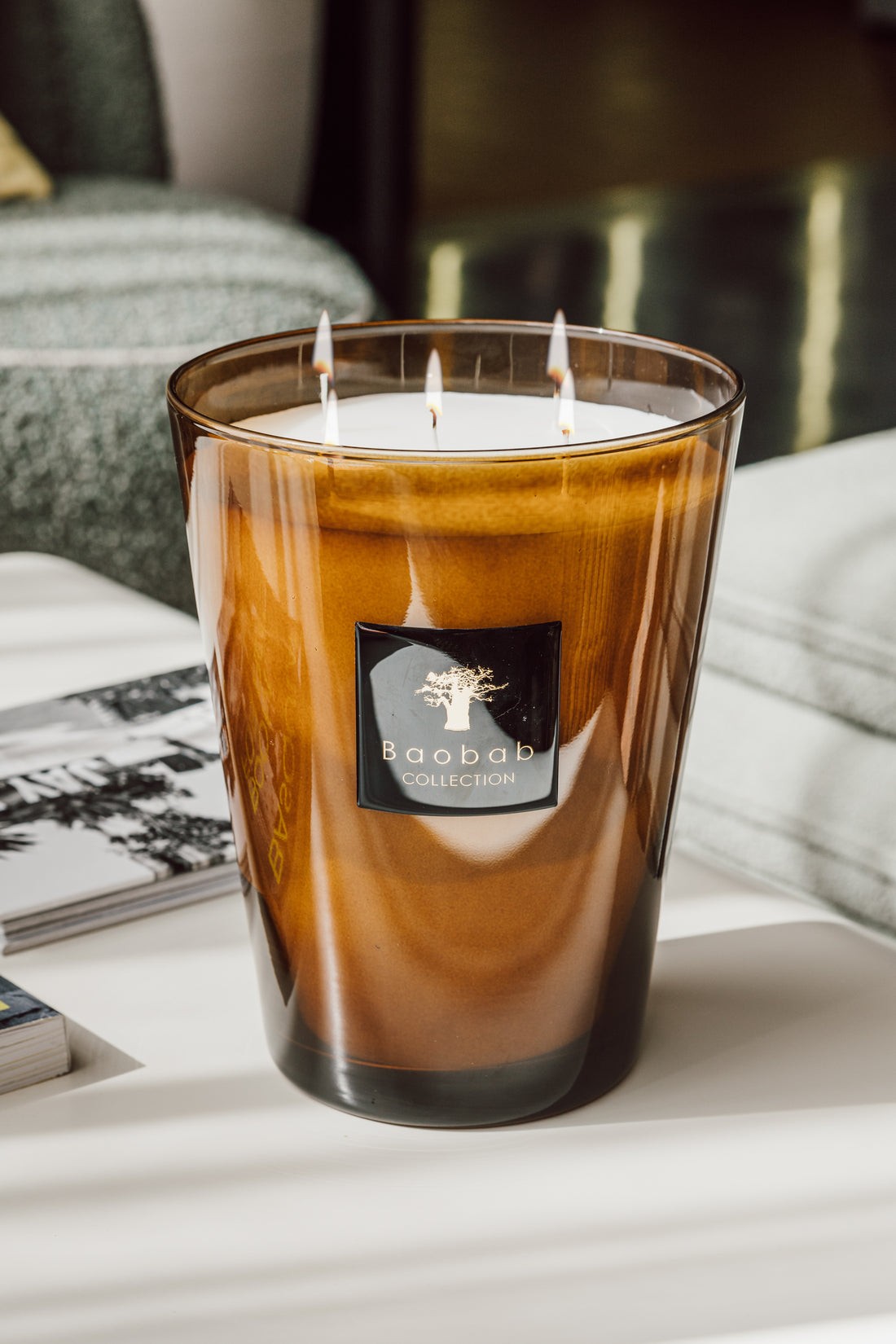 Bougie Cuir de Russie, Baobab Collection, visuel 7