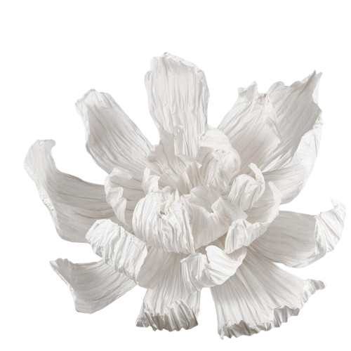 Pivoine géante D160 H90cm - blanche, EDG, visuel 2
