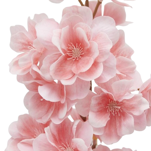 Branche de cerisier Sakura H70cm, EDG, visuel 2