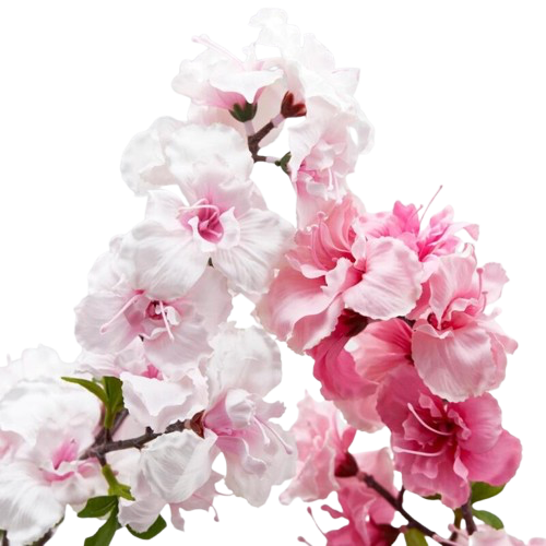 Branche de cerisier Sakura H105cm, EDG, visuel 2