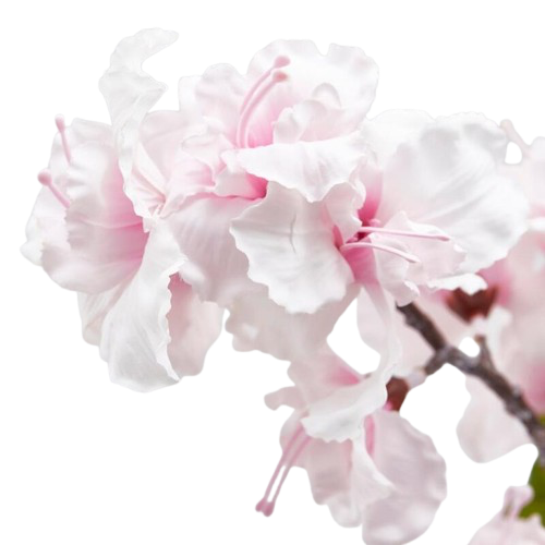 Branche de cerisier Sakura H105cm, EDG, visuel 3