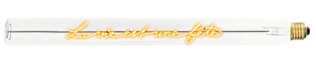 Message in the Tube - "La vie est une fête", Elements Lighting, visuel 2