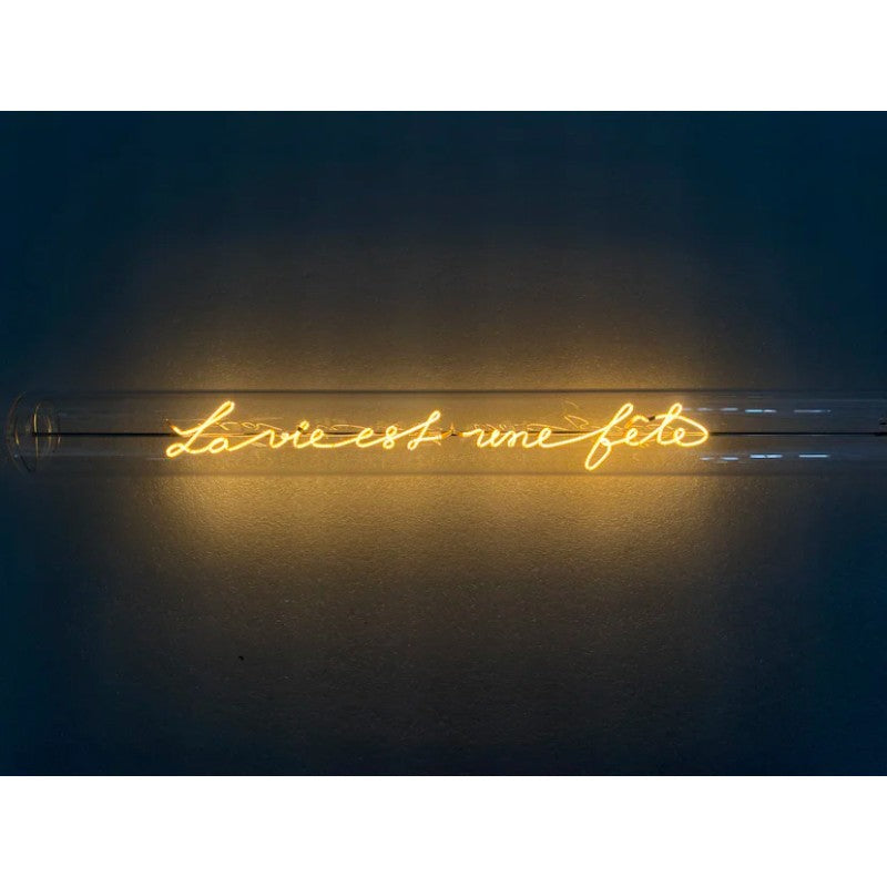 Message in the Tube - "La vie est une fête", Elements Lighting, visuel 5