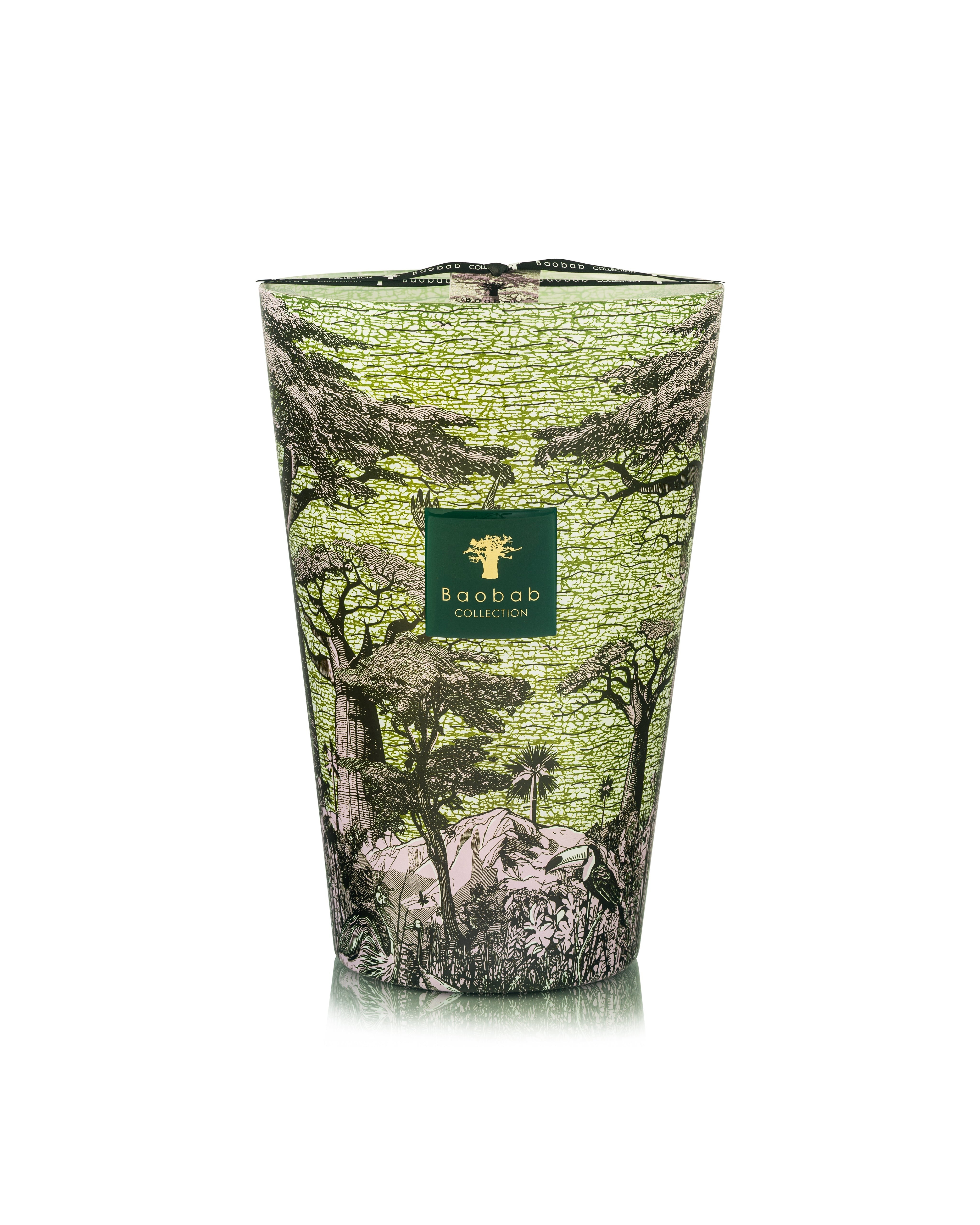 Bougie New Sacred trees Touba, Baobab Collection, visuel 4
